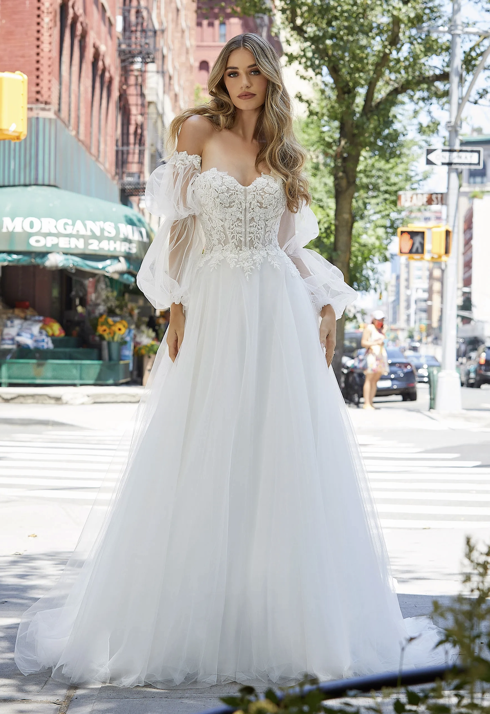 Stunning Beaded and Lace Wedding Gowns Image